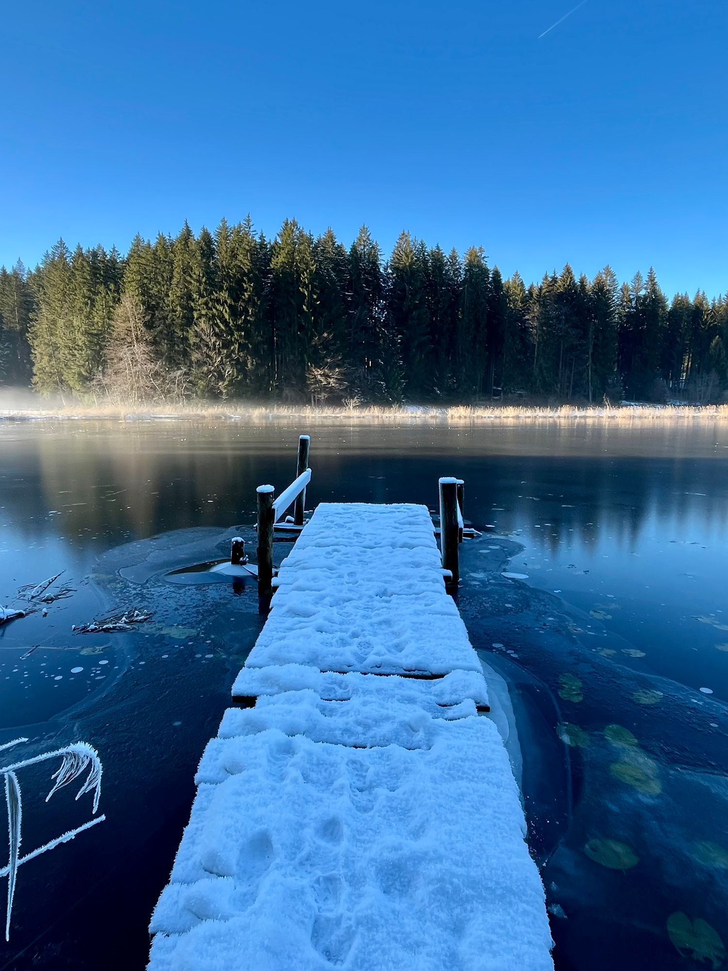 Der Faulensee im Winter