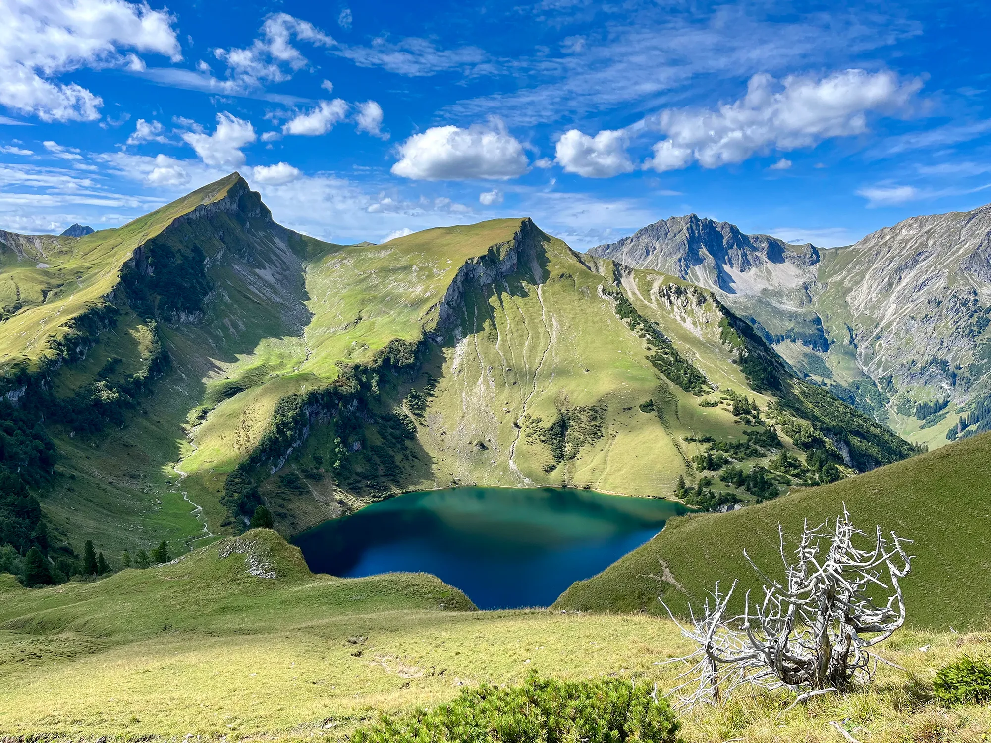 Leuchtende Farben im Tannheimer Tal