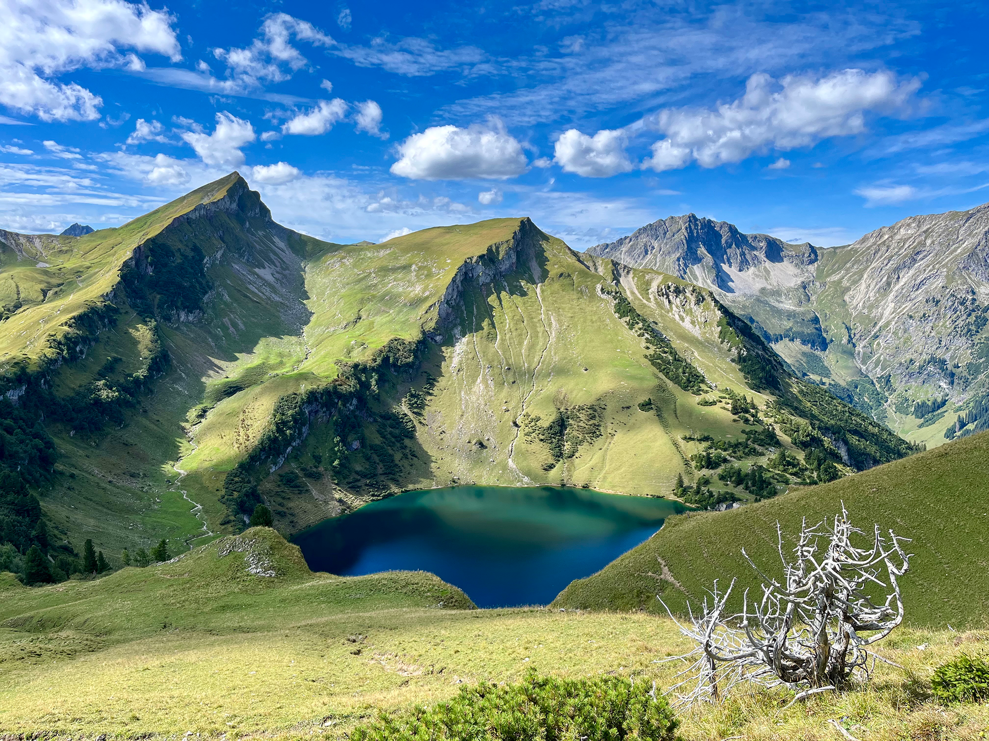 Leuchtende Farben im Tannheimer Tal