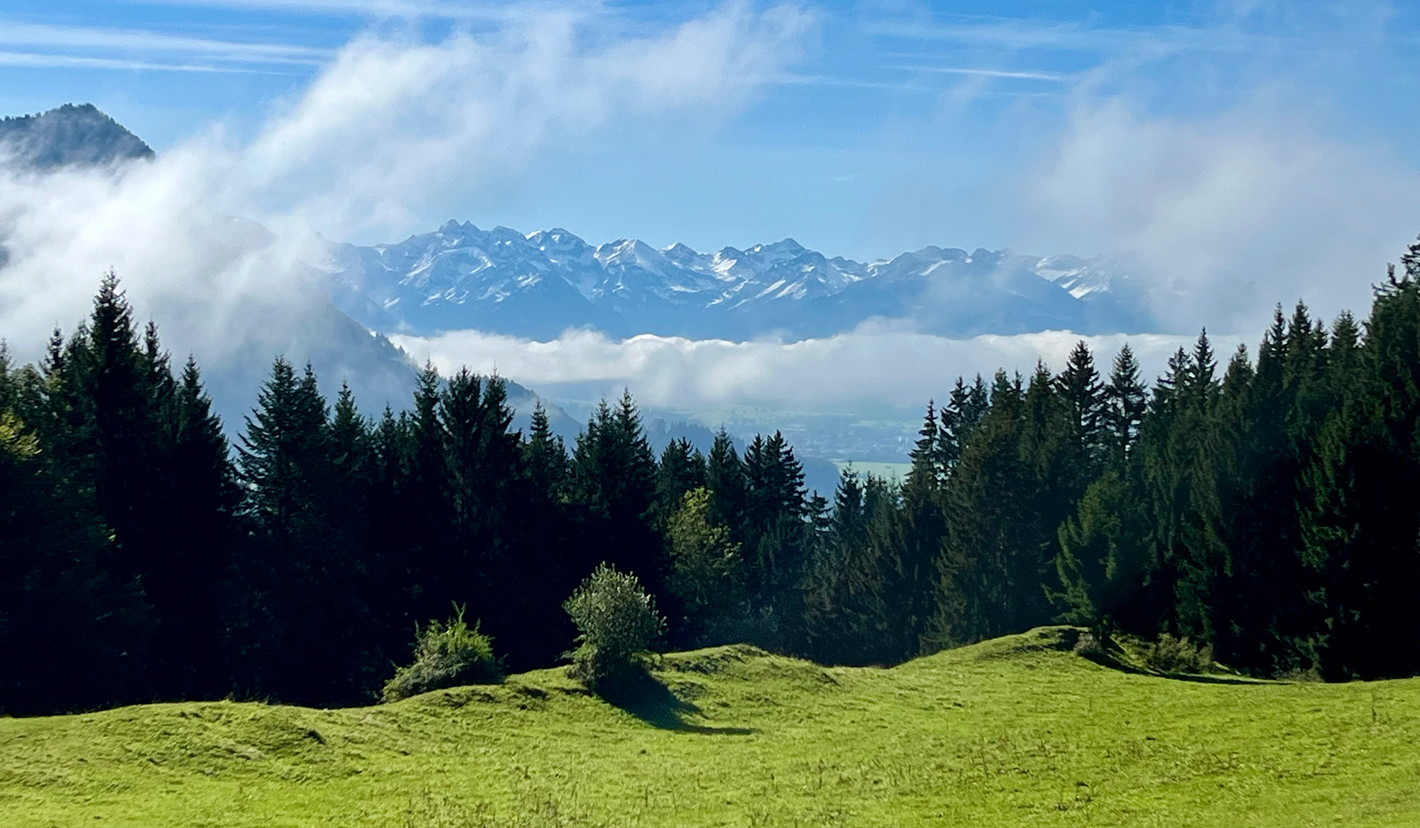 Die Aussicht aufs Alpenpanorama